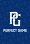 Perfect Game